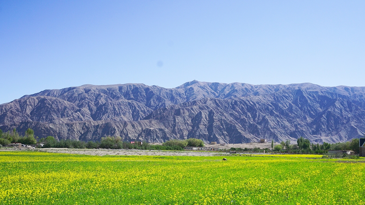 去新疆塔县，和塔吉克族的弟弟们一起抓鱼（图ZMTY2NDkyMDk2） - 人文/纪实摄影 - 站酷设计师keke奇遇记原创素材 - 站酷ZCOOL