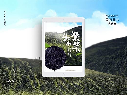 头水紫菜详情页