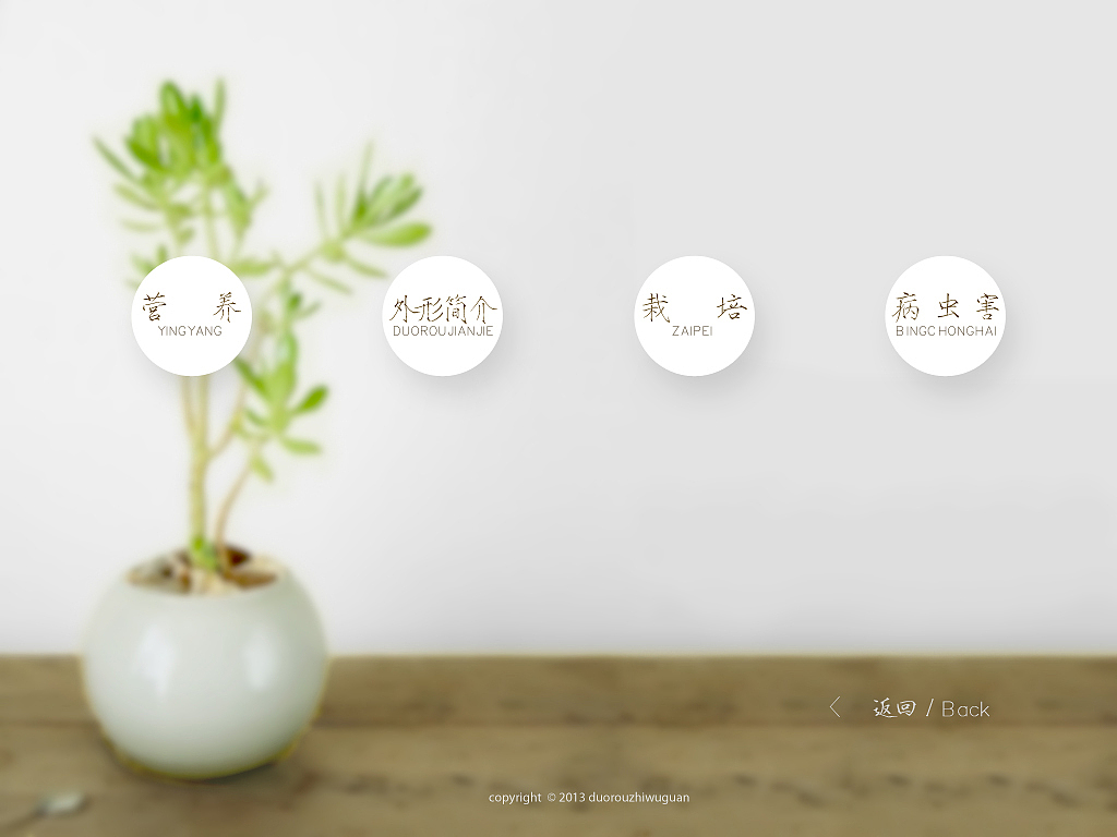 多肉植物馆（图ZMjUxNjAwNTI=） - 运营设计 - 站酷设计师共二亓原创素材 - 站酷ZCOOL