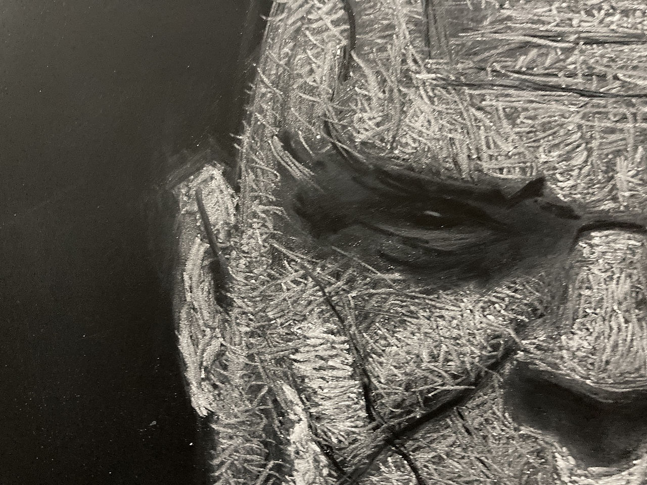 黑板粉笔画写实肖像