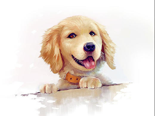 宠爱（个人主页-ZMzIwNzQ1MDQ=） - APP界面 - 站酷设计师你的眼睛會笑原创素材 - 站酷ZCOOL