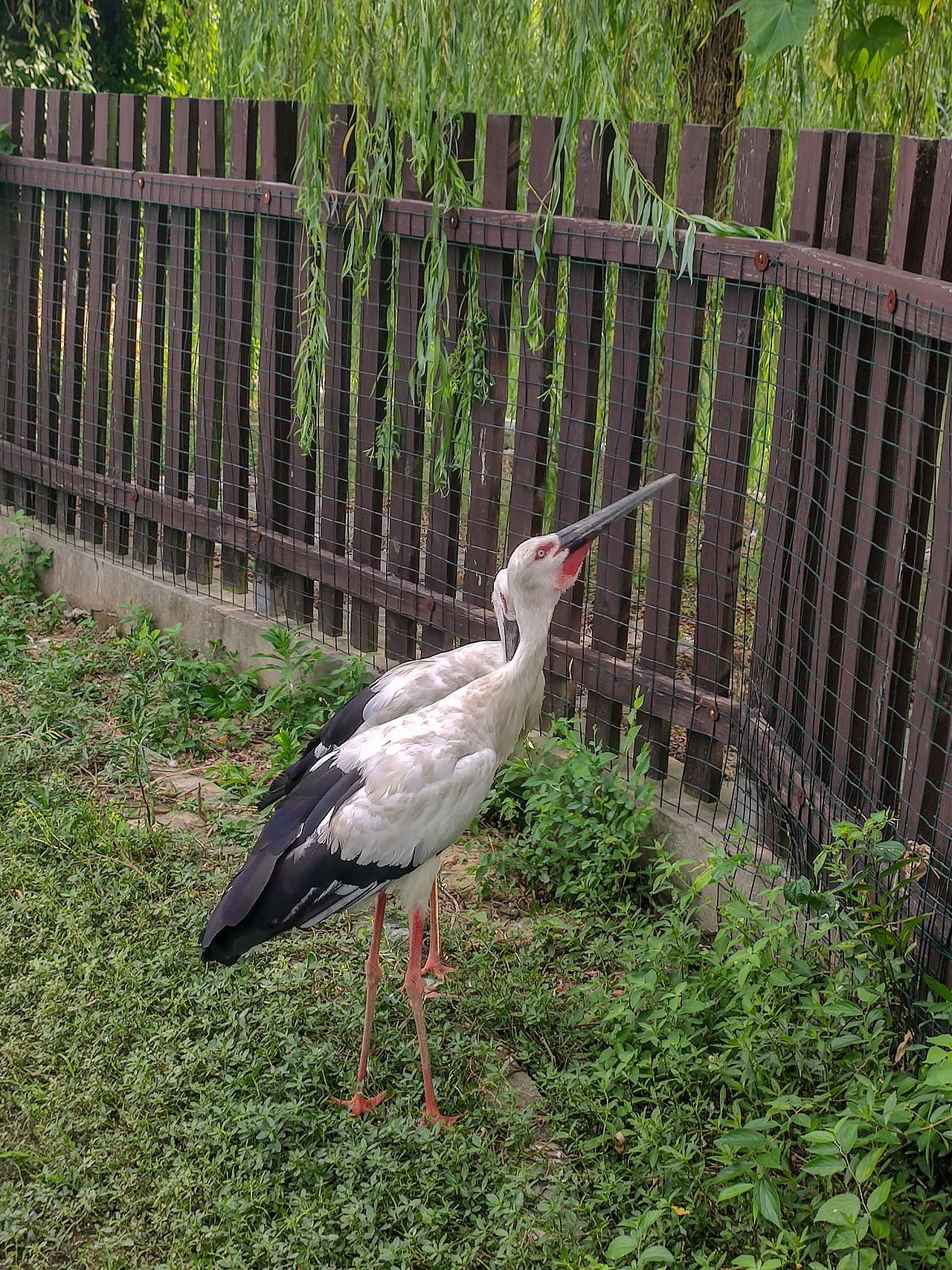 苏州上方动物园