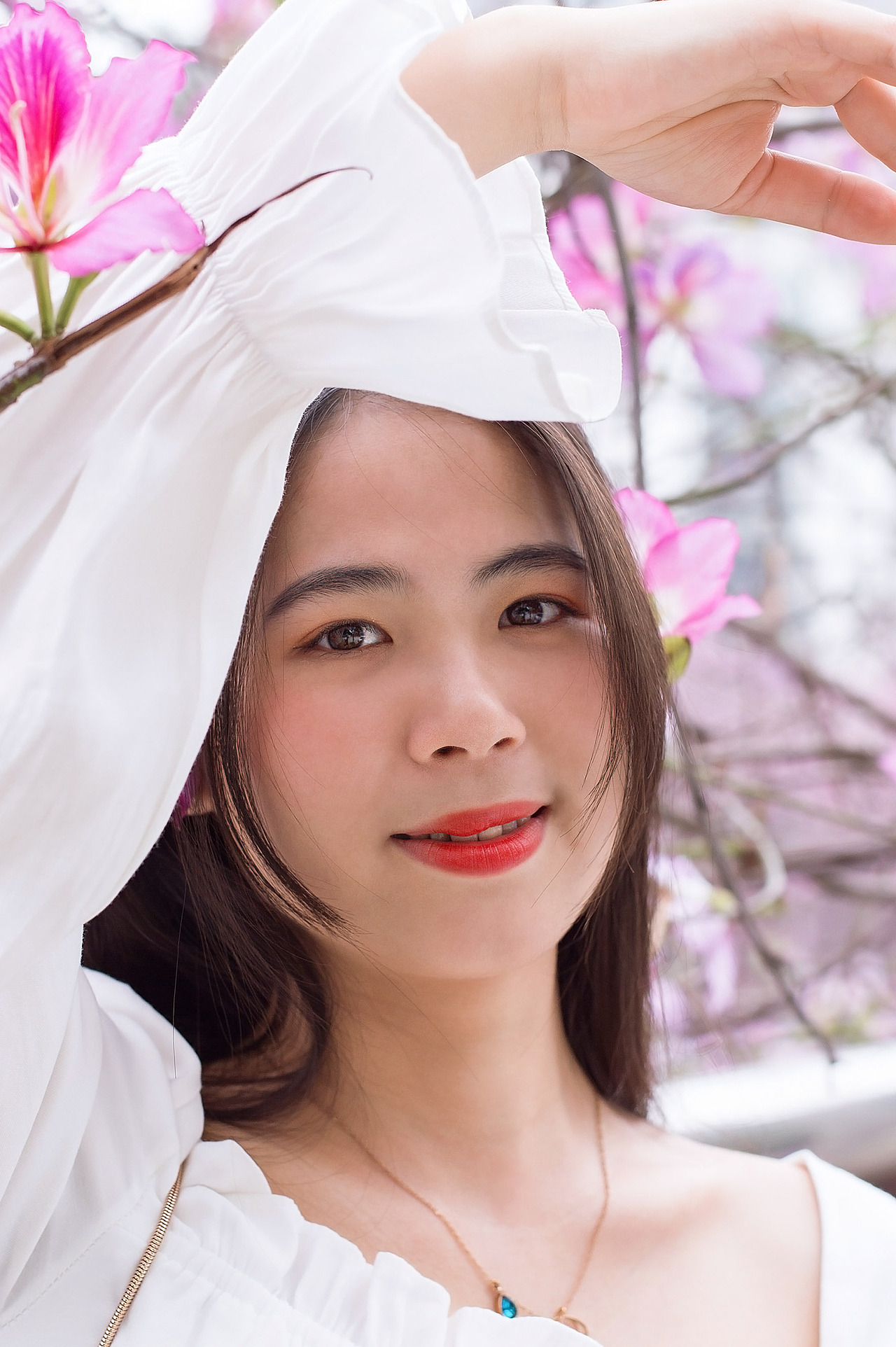 我们一起去水南路看紫荆花和你ヾ(*Ő