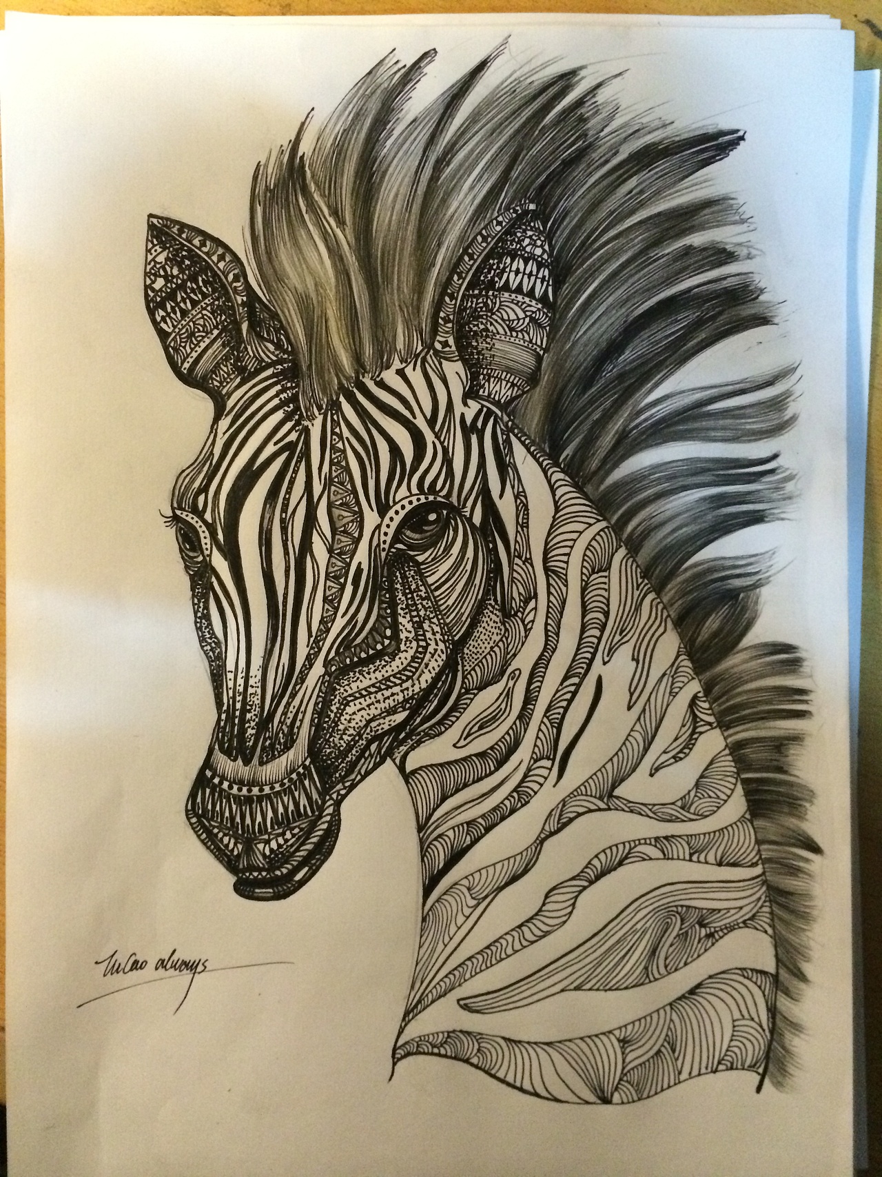 针管笔作品合集