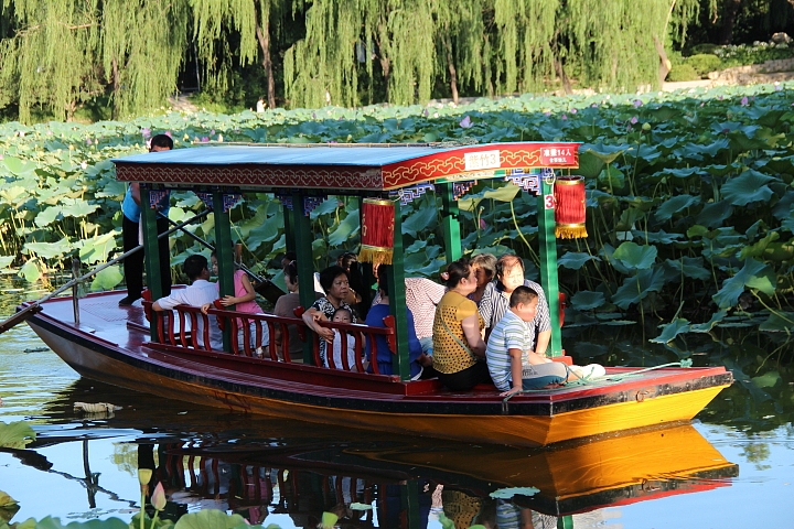 2013-立秋后的-荷