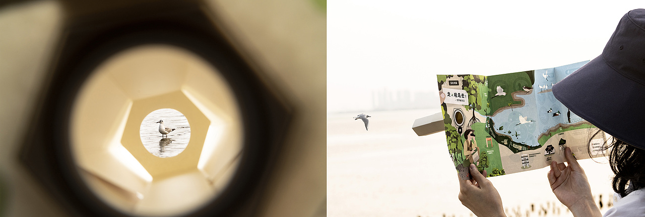 世界候鸟日-观候鸟折页及海报