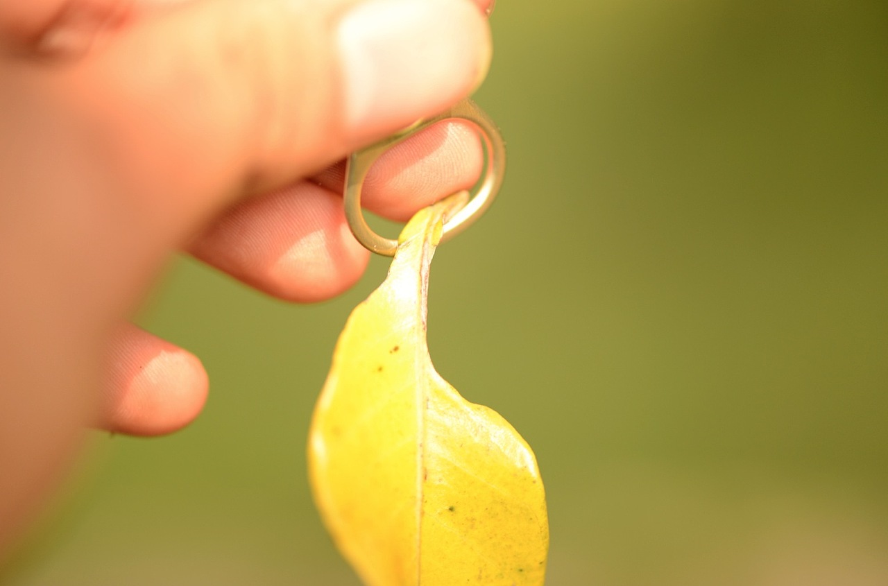 高饱和色彩-喜欢的话可以做壁纸