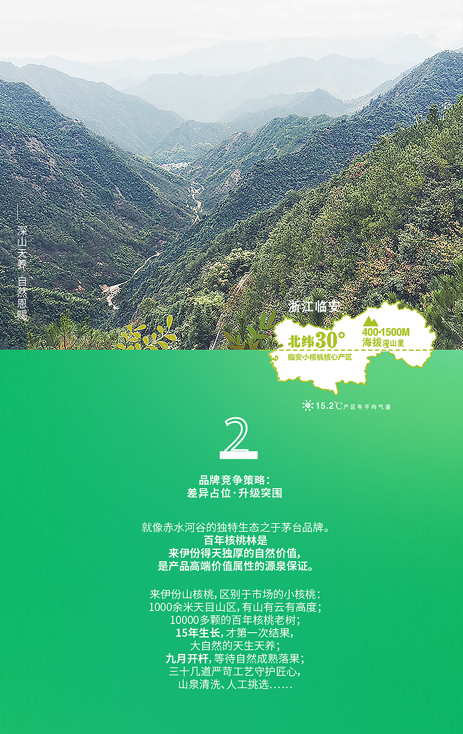品牌全案 | 把大自然装进核桃（图ZMjgxNjA0NTM2） - 品牌 - 站酷设计师快车道品牌咨询原创素材 - 站酷ZCOOL
