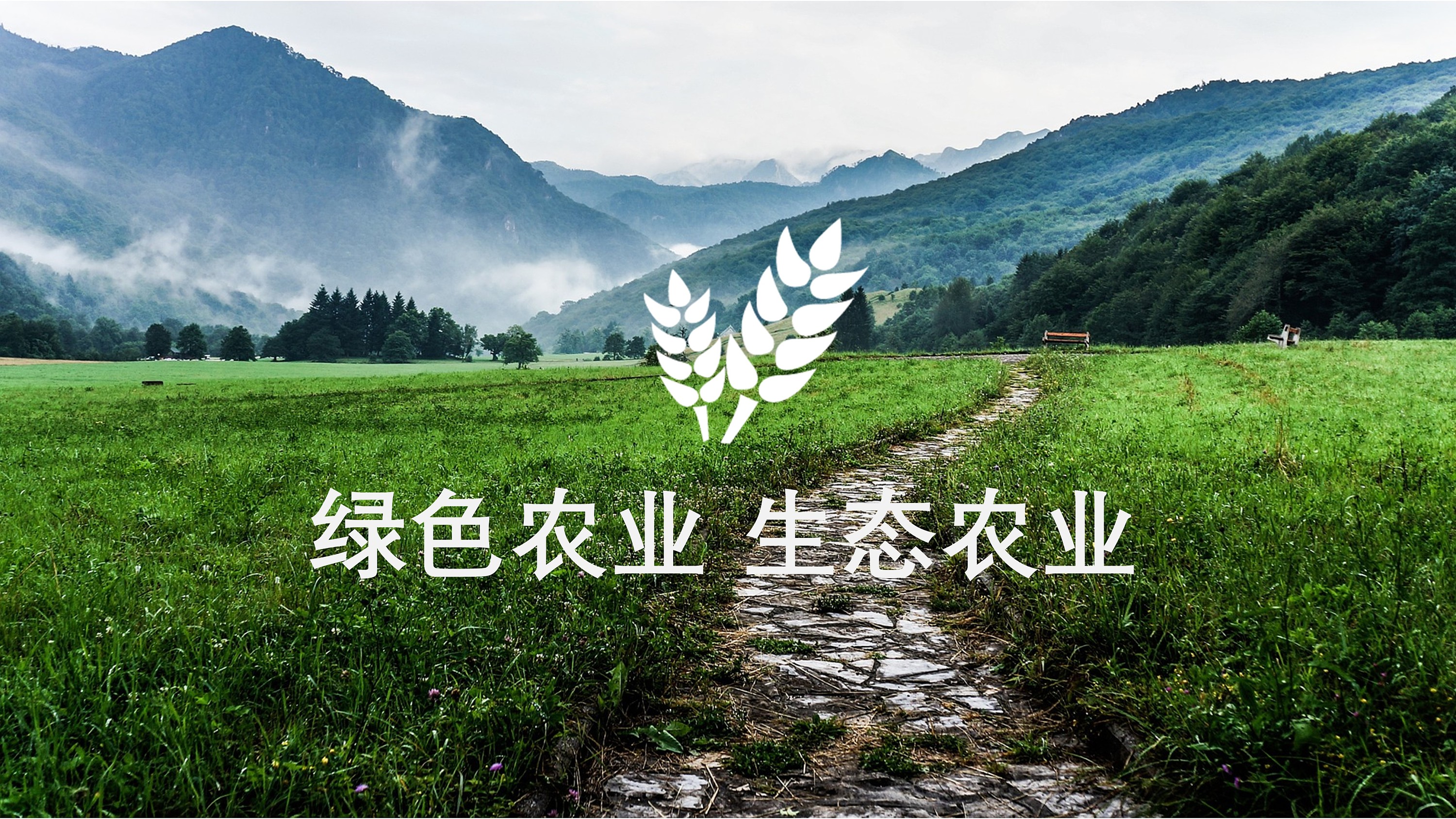 中国农业银行背景图图片素材-编号39523550-图行天下