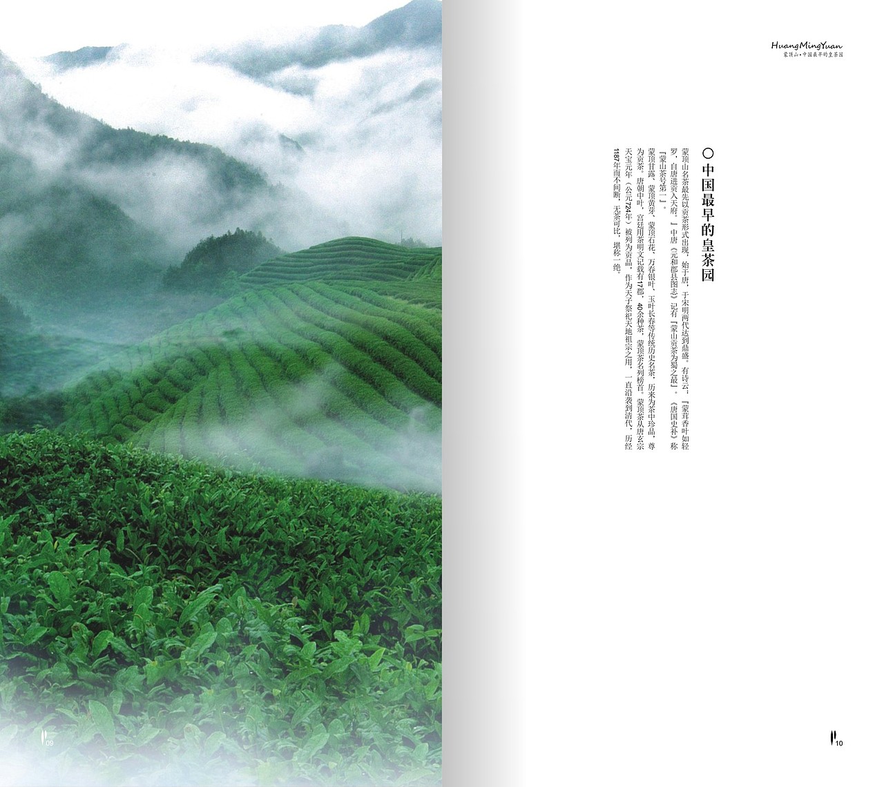 蒙顶--(包装/画册)