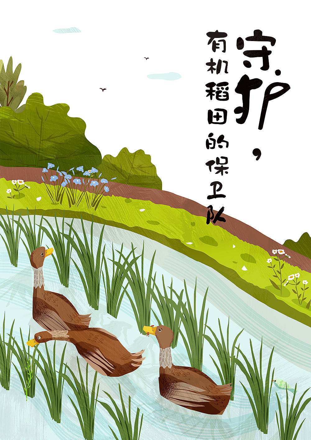 与归来兮有机农庄合作的稻田鸭插画