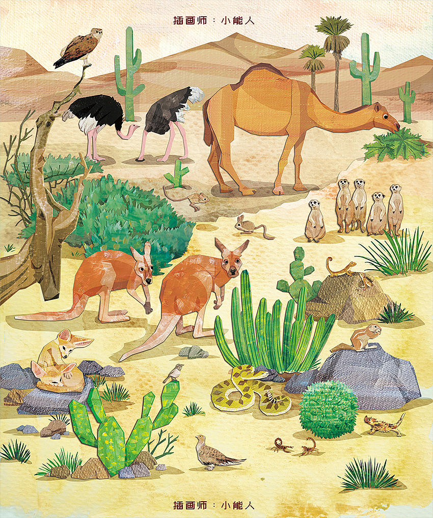 儿童插画 儿童插图 科普绘本----套书(2)