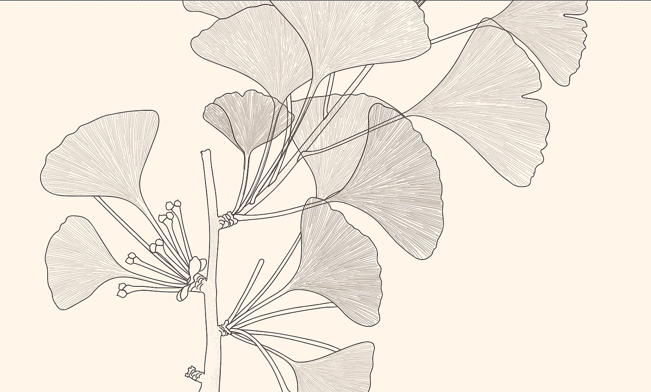 木林子国家自然保护区濒危植物信息图(部分)|平面|信息图表|扬扬扬y