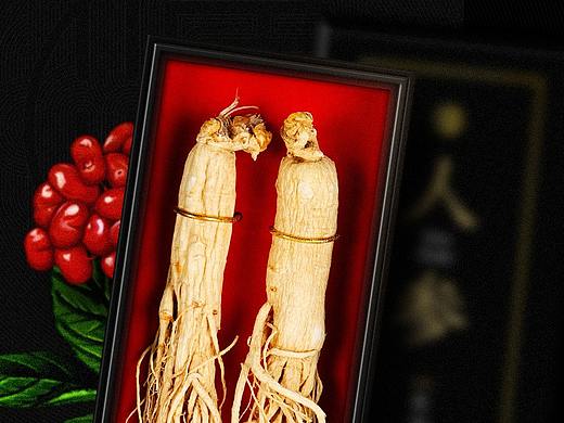 青源堂人参宝贝详情