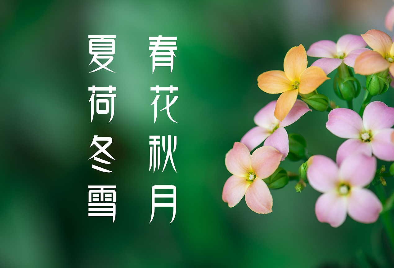 江南春柳体（图ZODU5NDM3NzY=） - 字体/字形 - 站酷设计师禾思设计原创素材 - 站酷ZCOOL