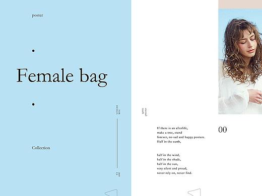 女装女包海报练习作品.
