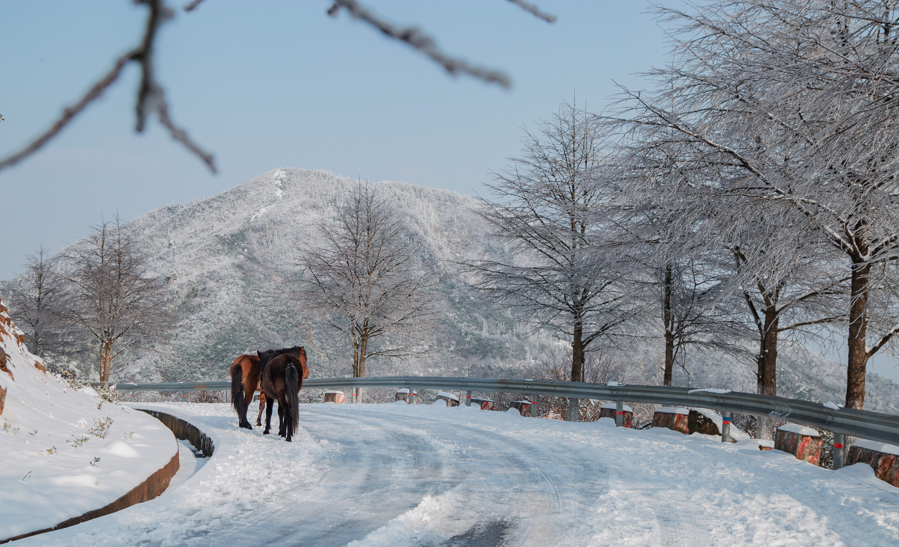 天晴看南方的雪