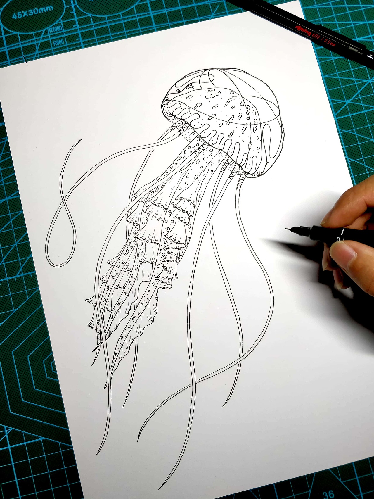 一组黑白水母插画