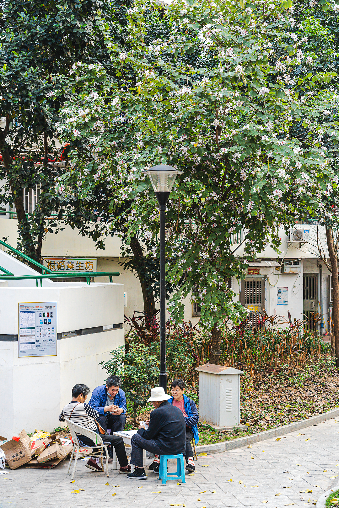 园岭新村•深圳的世外桃源