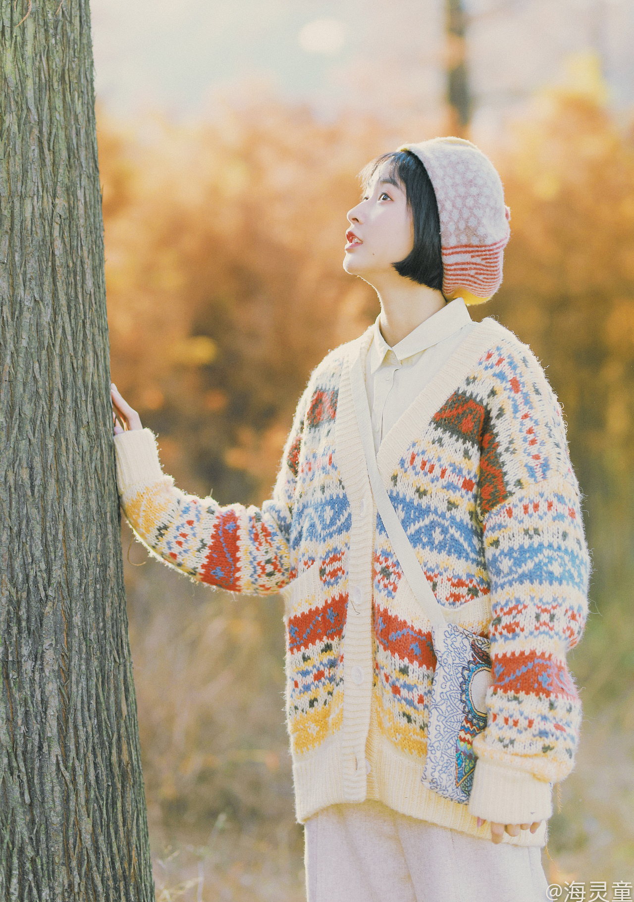 《暖秋遛猫记》