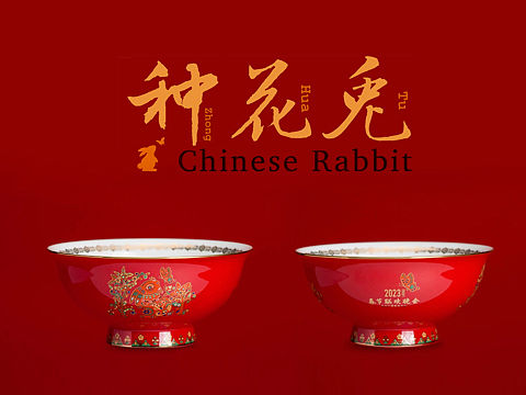 2023年央视总台春节联欢晚会——种花兔系列