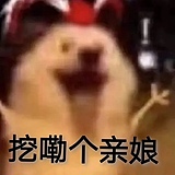 wjxlm的头像