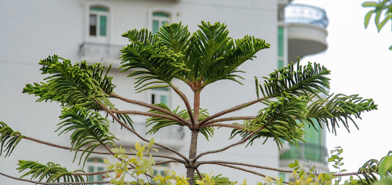 日常练习风光摄影