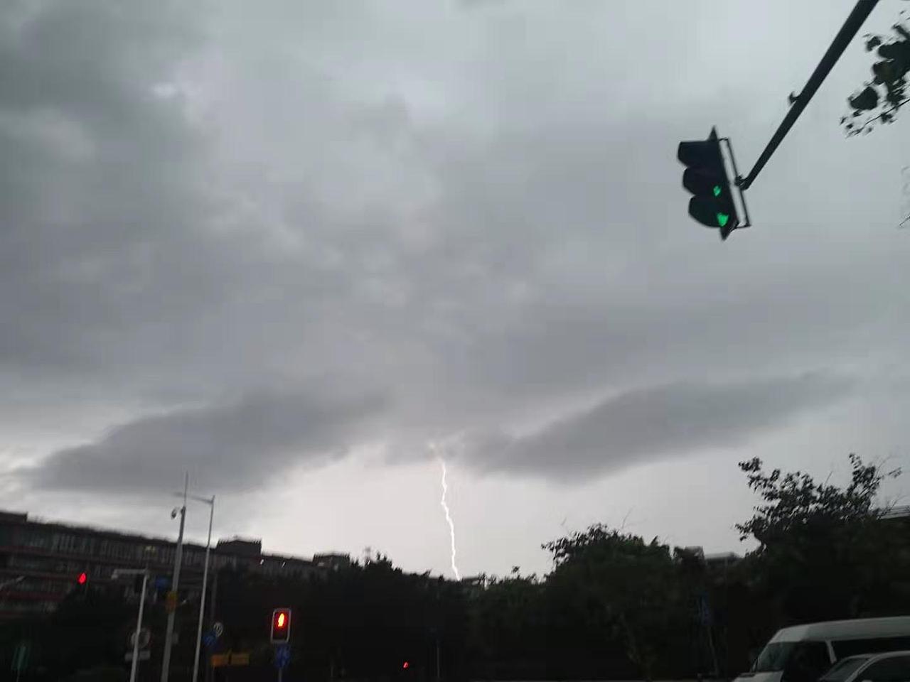 一组手机野生图