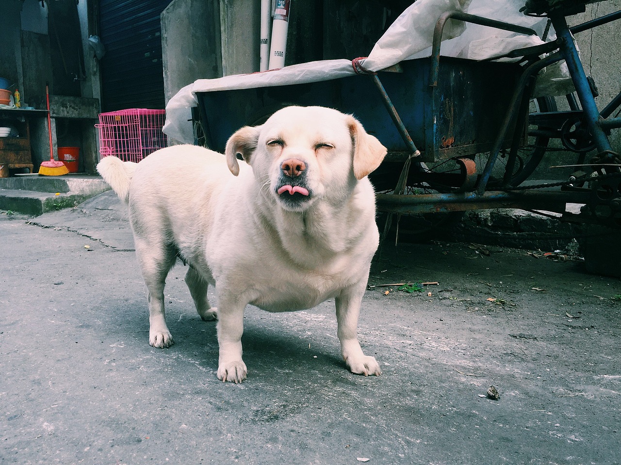 略略略略略略～～～