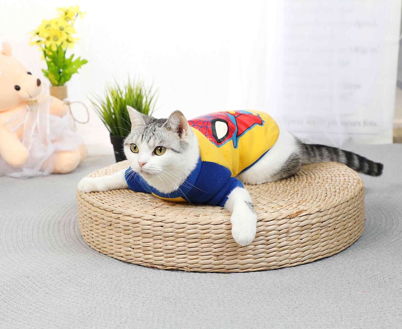 宠物摄影~猫咪咪服饰NO1