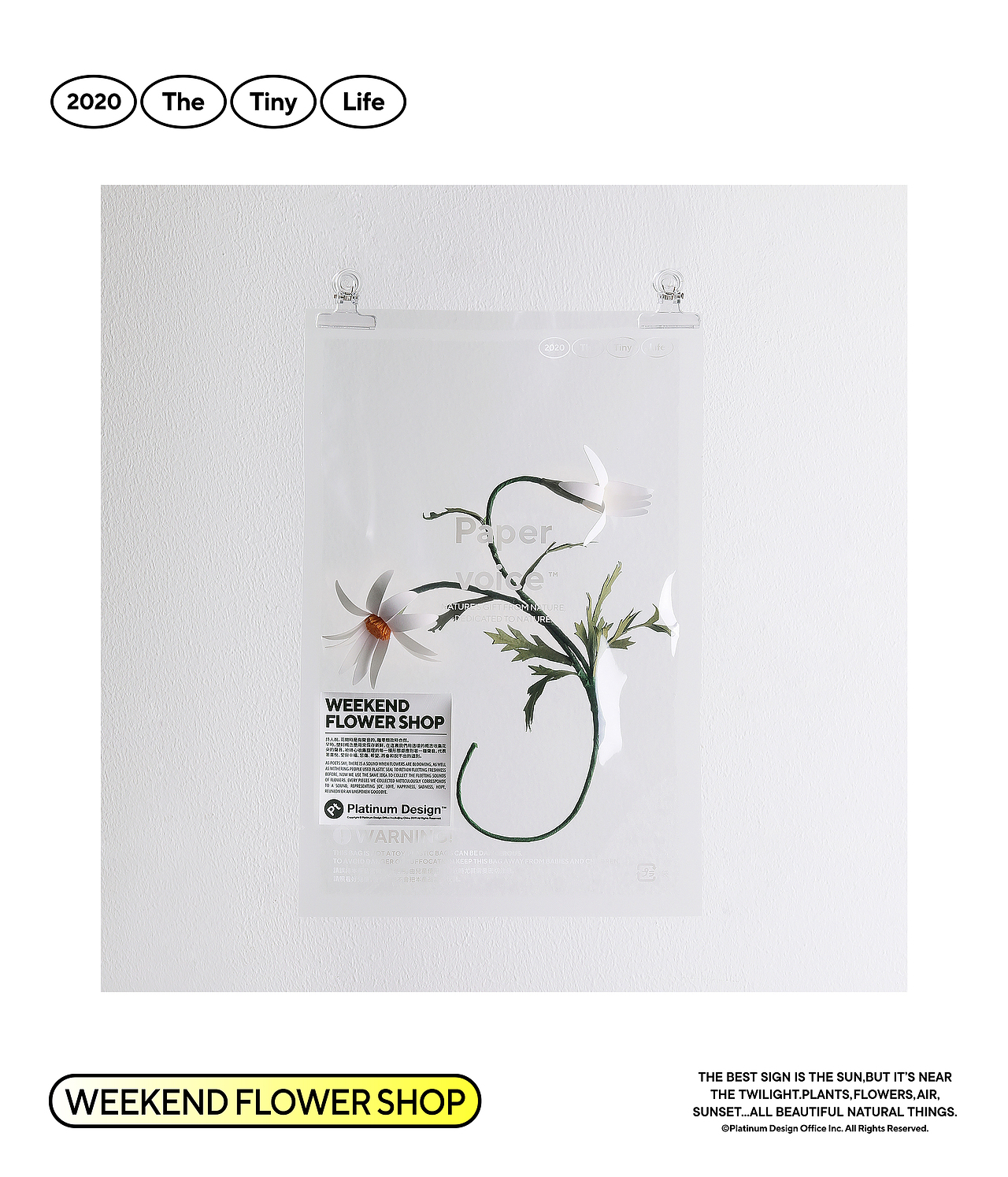 BranD50《我想开个工作室》/PAPER VOICE LAB意义之花（图ZMjE4MjIyMzg0） - 其他手工艺 - 站酷设计师BranD杂志原创素材 - 站酷ZCOOL