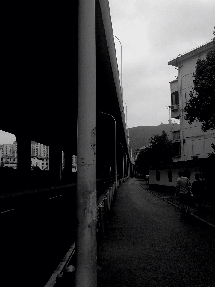 梅花香自苦寒来