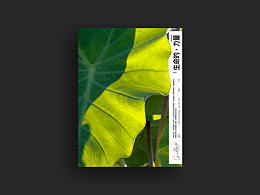 生命的力量「THE POWER OF LIFE」