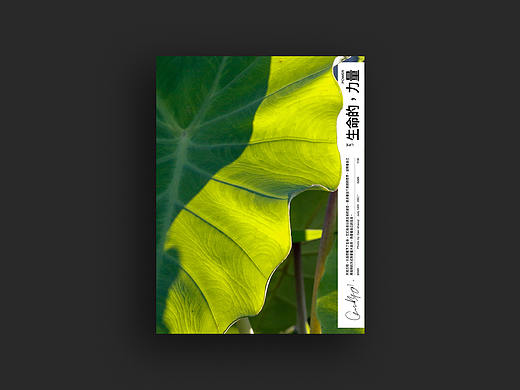 生命的力量「THE POWER OF LIFE」