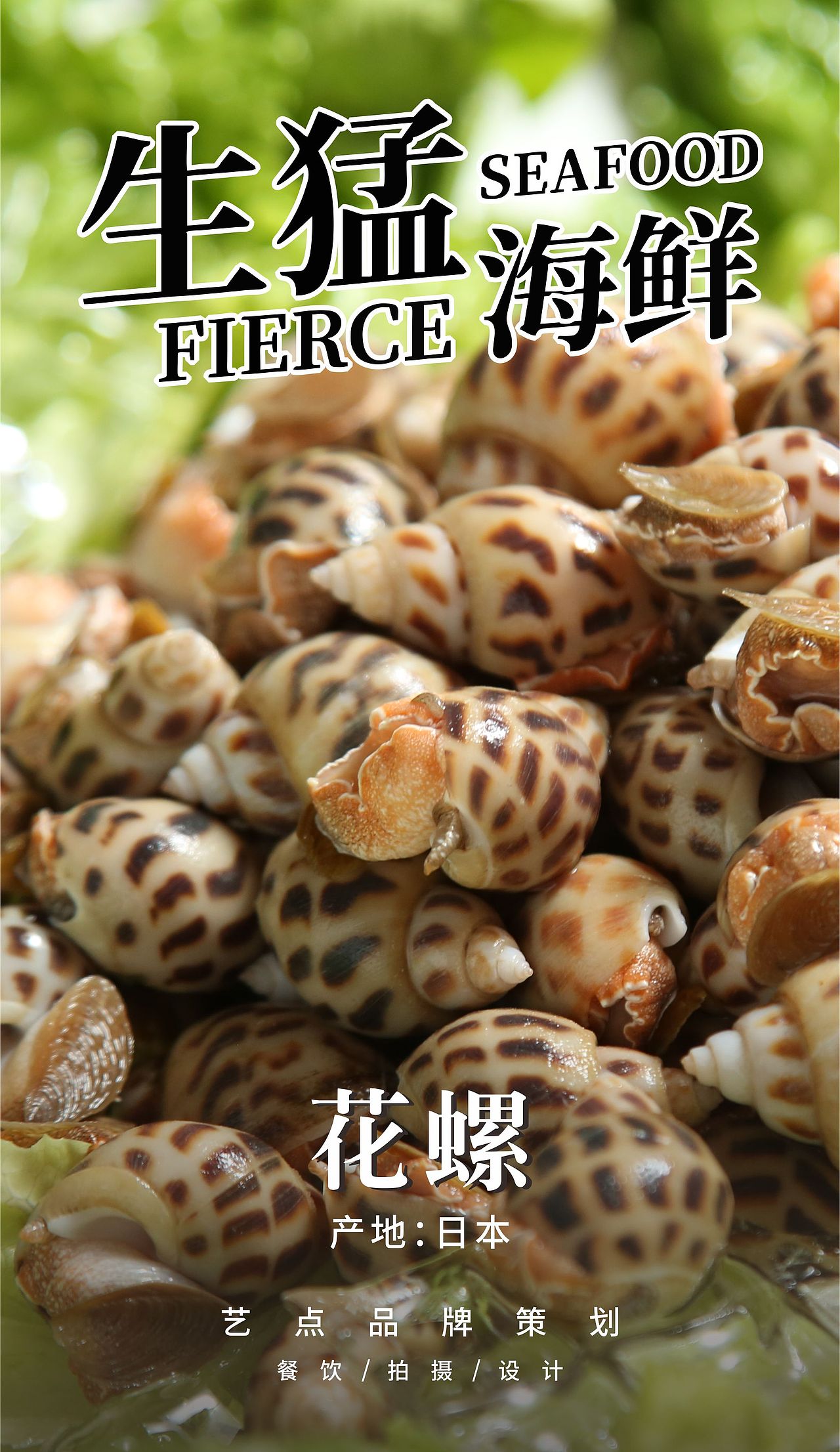 【美食摄影】|【海鲜】东江×子目（图ZMjM5NTgzODI4） - 产品摄影 - 站酷设计师庄周KING原创素材 - 站酷ZCOOL