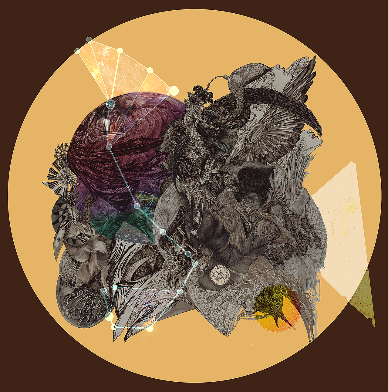 花魂鸟魂总难留