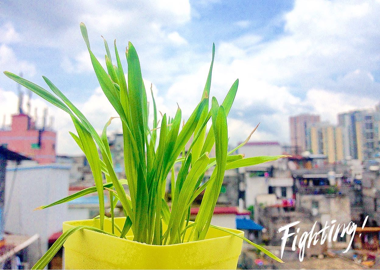 加油系列-杂物（图ZODQ4MzY5ODg=） - 产品摄影 - 站酷设计师咸鱼充电宝原创素材 - 站酷ZCOOL