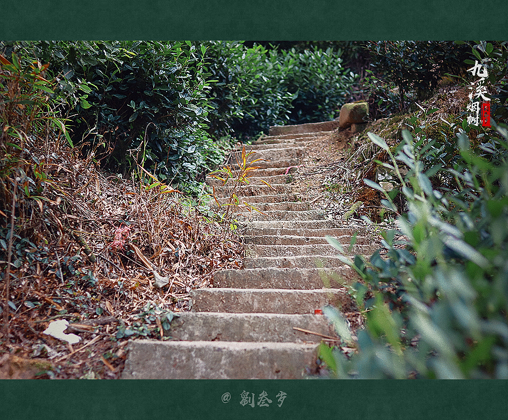 台阶,是的,还是台阶。