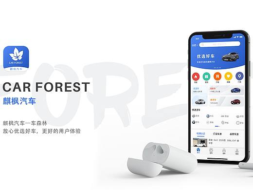 麒枫APP