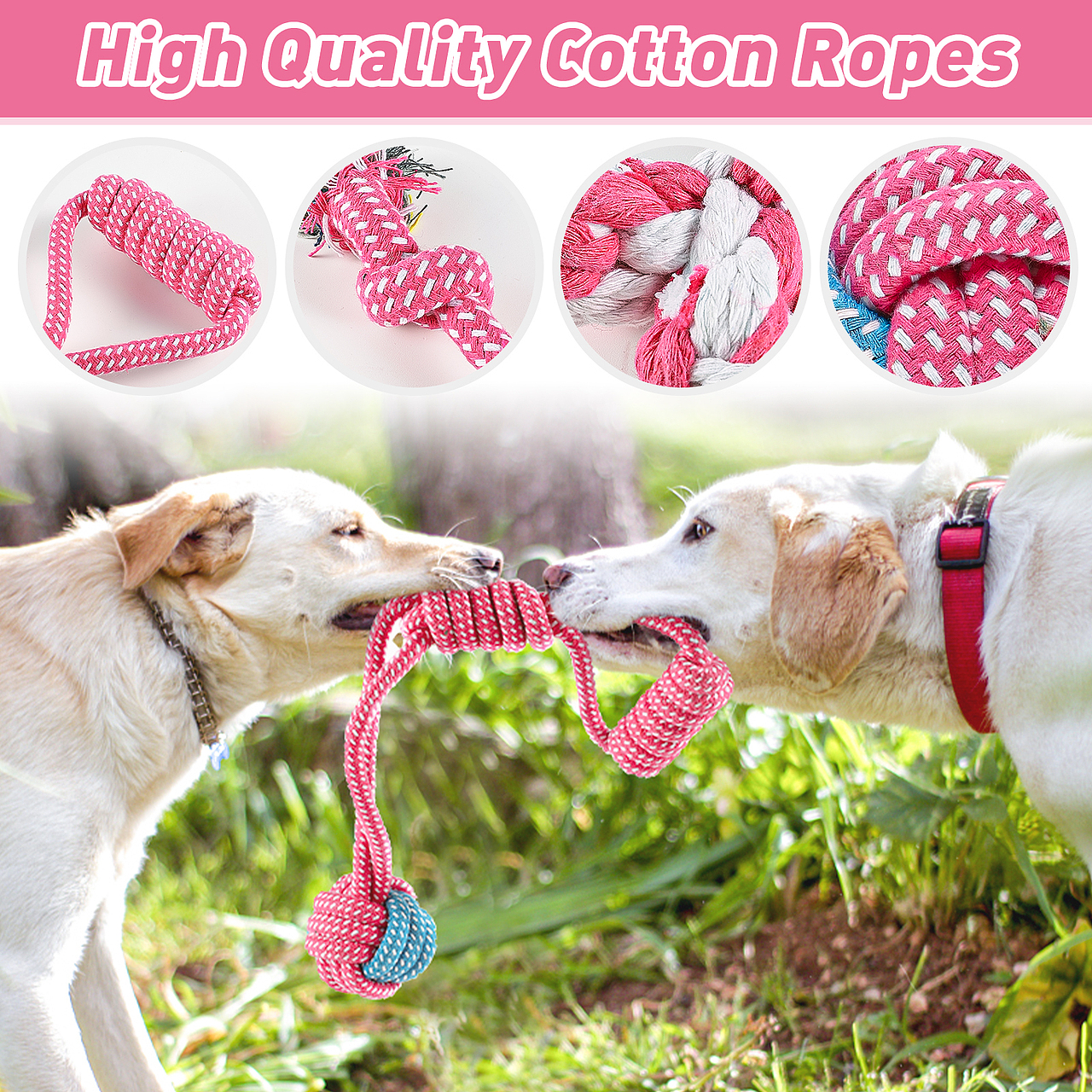 亚马逊宠物玩具主图&A+（图ZMjg5MTAxNzEy） - 电商 - 站酷设计师XIAOLIN琳原创素材 - 站酷ZCOOL