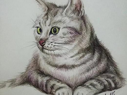 彩铅画练习《猫》