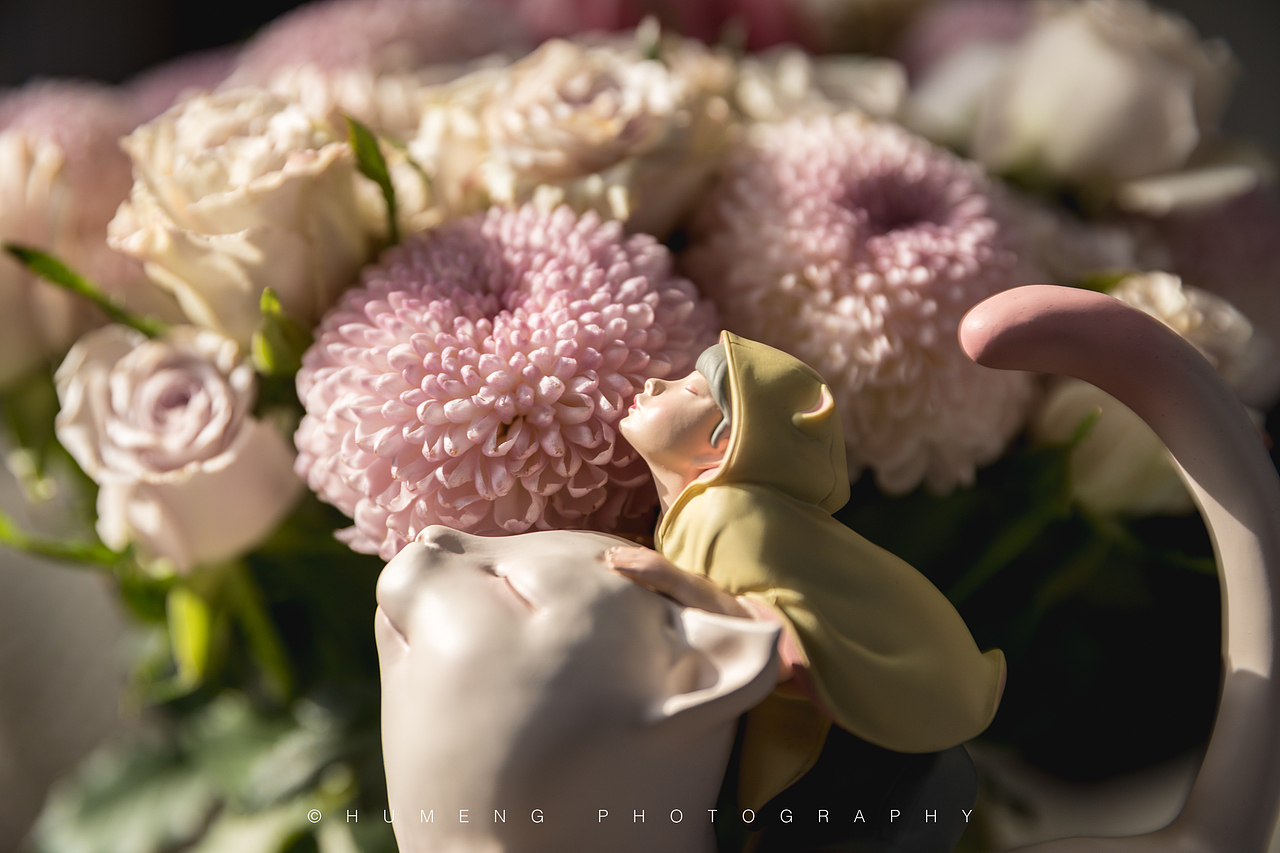 「19第8周」一场生日会