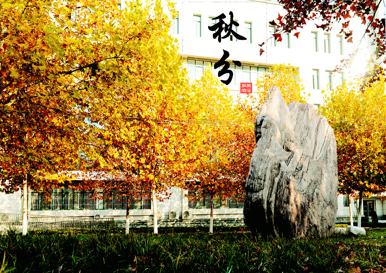 中国风节气海报（图ZNjQ1MzQwNjg=） - 海报 - 站酷设计师平地一声雷原创素材 - 站酷ZCOOL