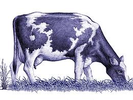 画画