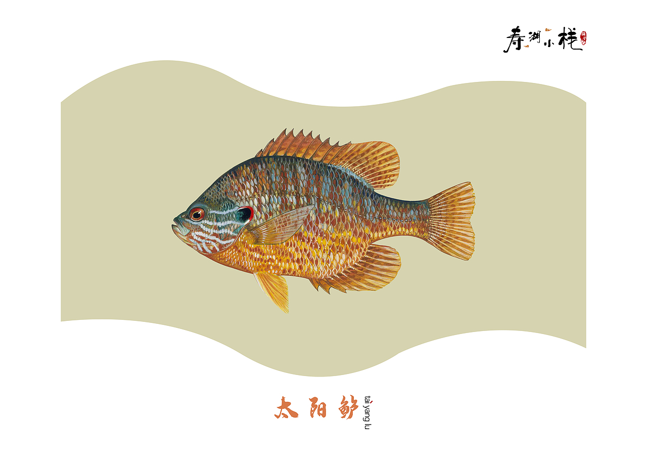 《鱼》（图ZMTYwNDE4OTA0） - 书籍/画册 - 站酷设计师ANEAL原创素材 - 站酷ZCOOL