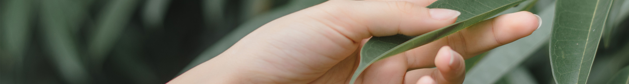 摄影师屿风的个人主页（封面预览） - 主页封面设置 - 站酷设计师摄影师屿风原创素材 - 站酷ZCOOL