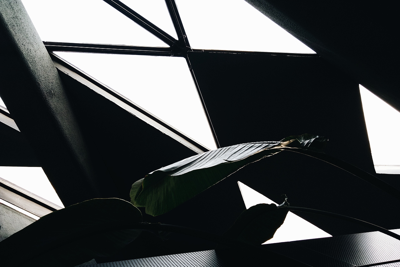 掠影（图ZMTQ1MDE3ODA0） - 环境/建筑摄影 - 站酷设计师非鱼子鹿原创素材 - 站酷ZCOOL