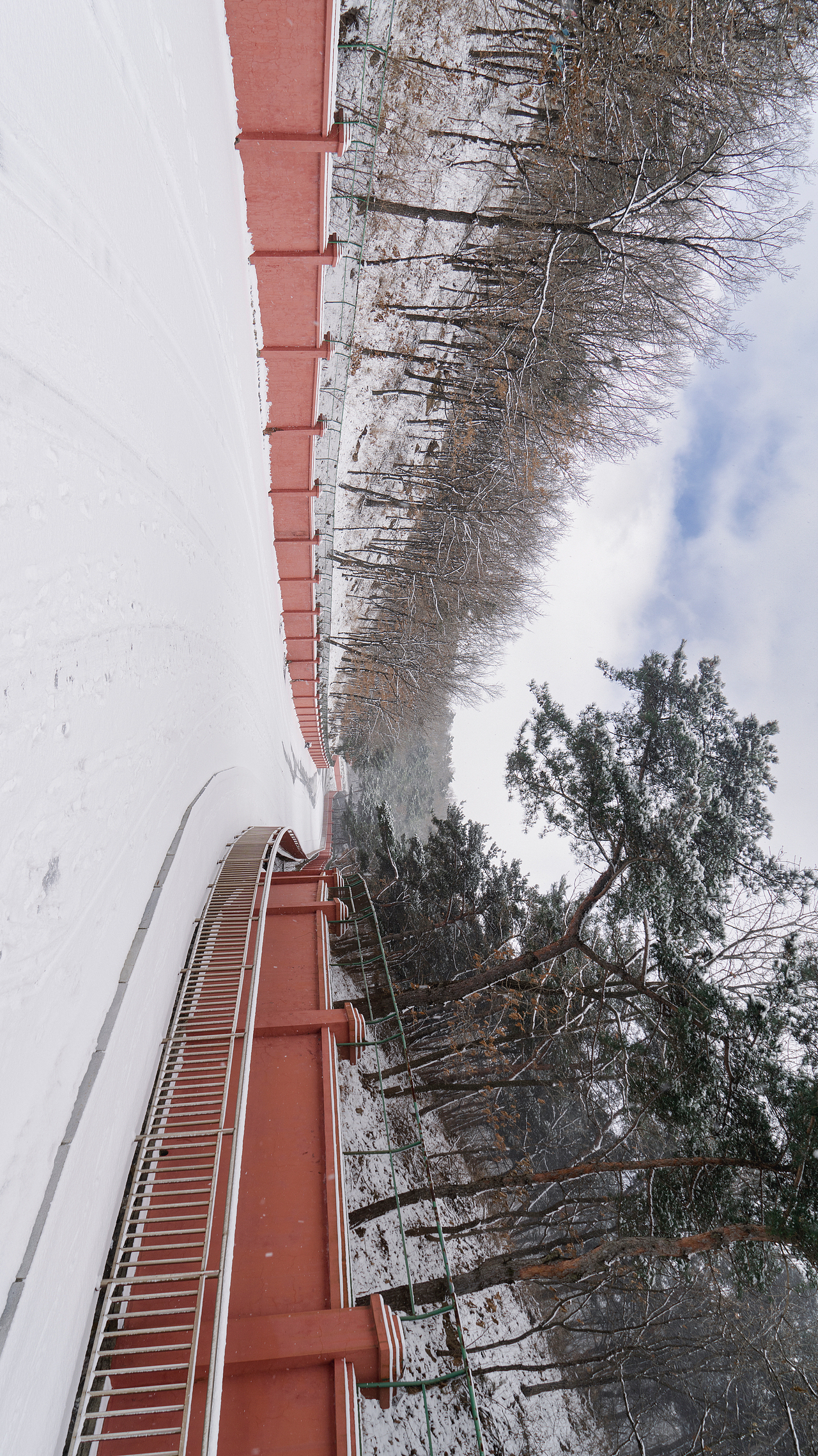 浅冬薄念,雪满人间❄️