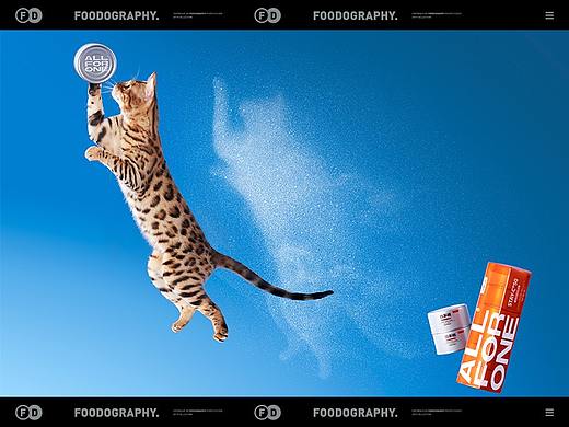 宠物食品摄影 | 万物一口 ✖ foodography 