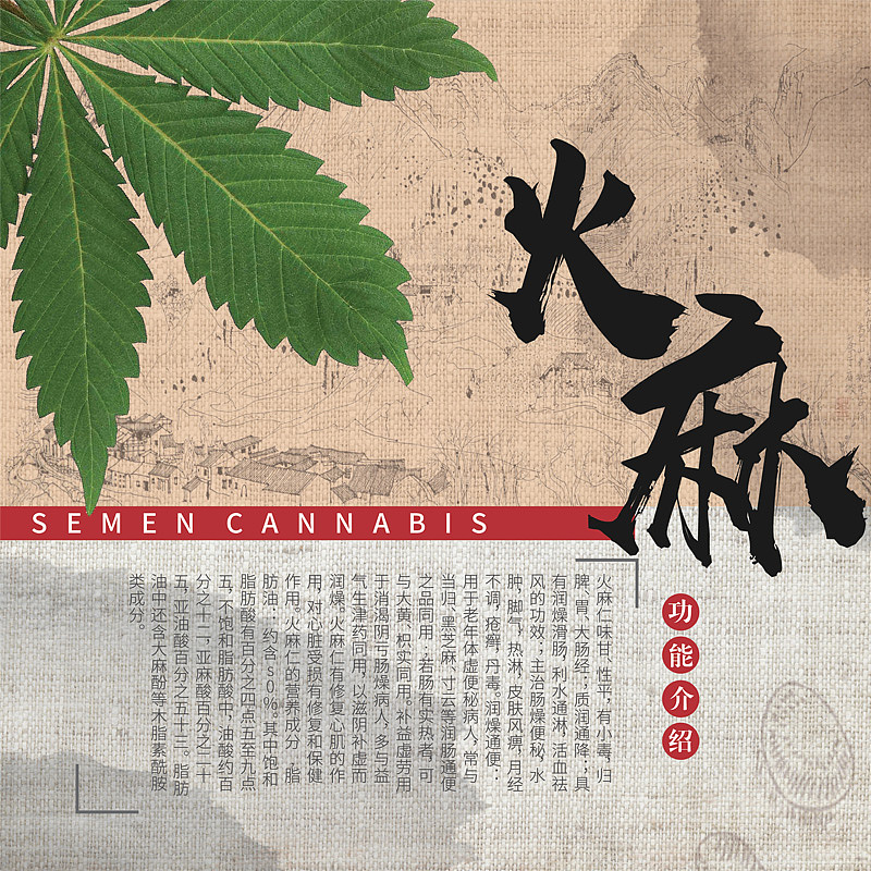 食疗的中医理论（图ZMTcxMTc5ODU2） - 海报 - 站酷设计师三口一头猪原创素材 - 站酷ZCOOL